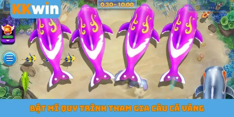 Bật mí quy trình tham gia câu cá vàng nhanh chóng