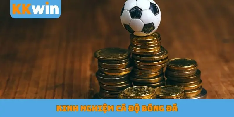 Kinh nghiệm cá độ bóng đá